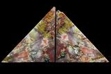 Tall Arizona Petrified Wood Bookends - Rainbow #86194-1